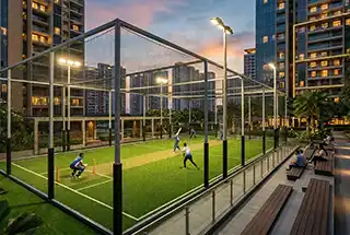 Box cricket arena